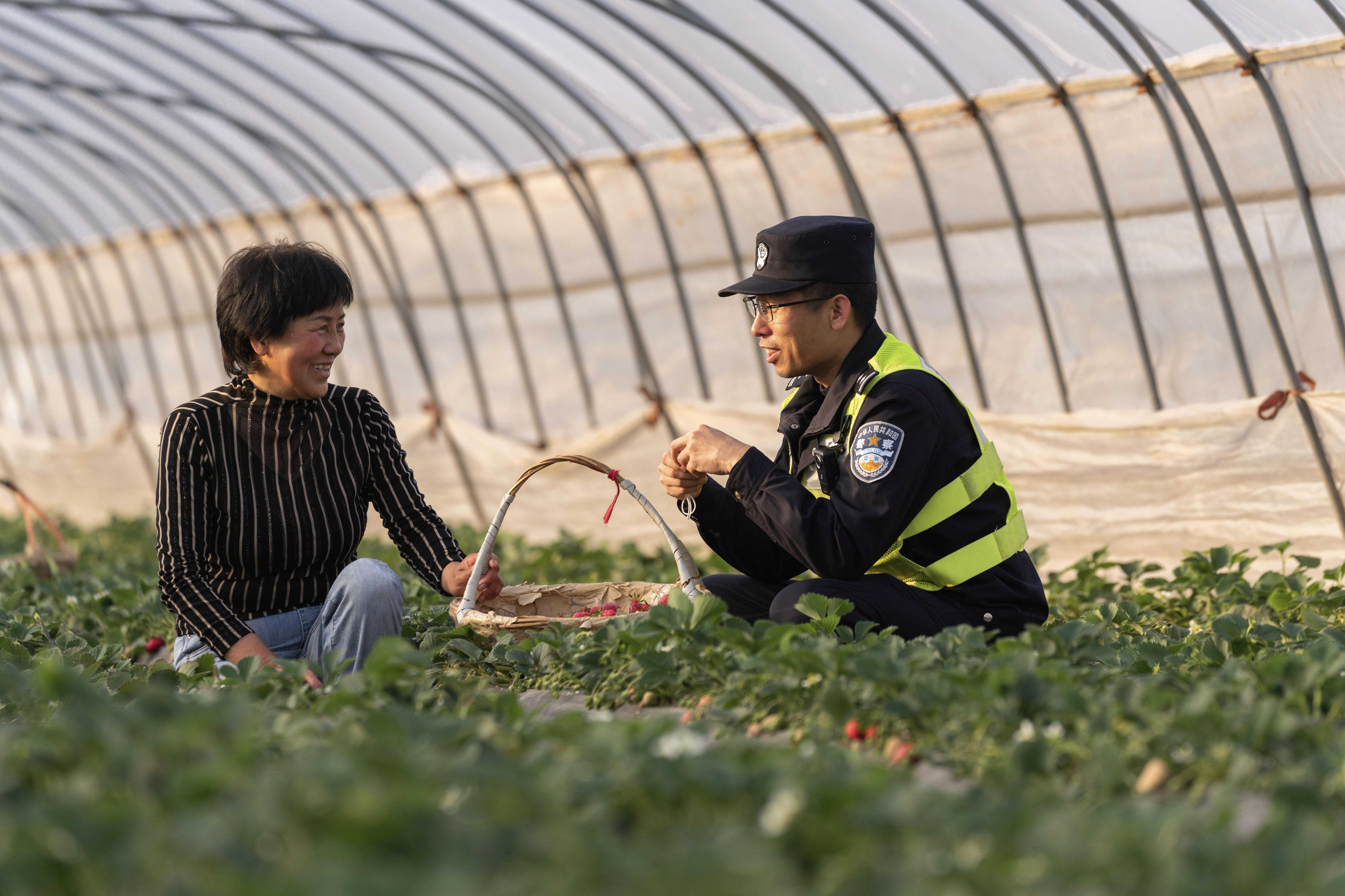 深入乡村助农忙，小警务保障大民生