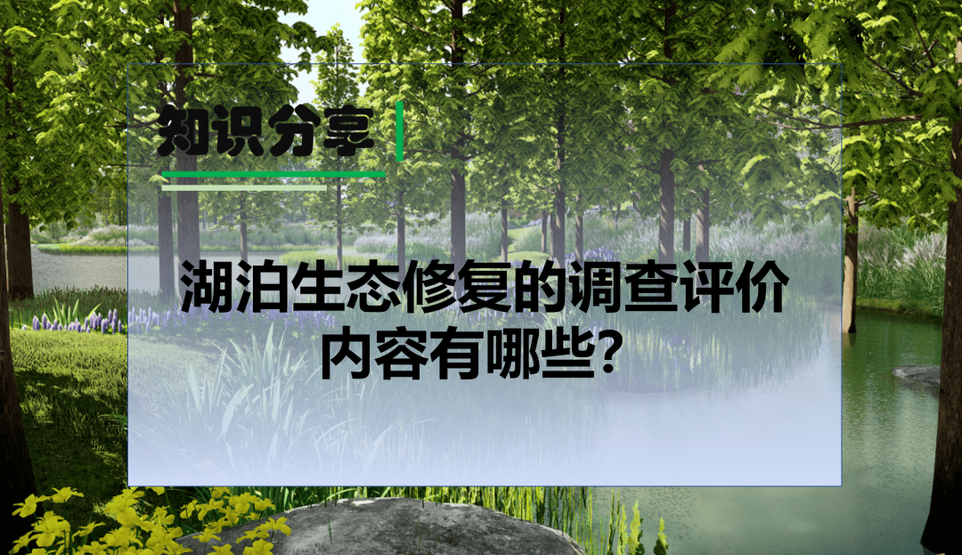 知识分享 | 湖泊生态修复的调查评价内容有哪些？