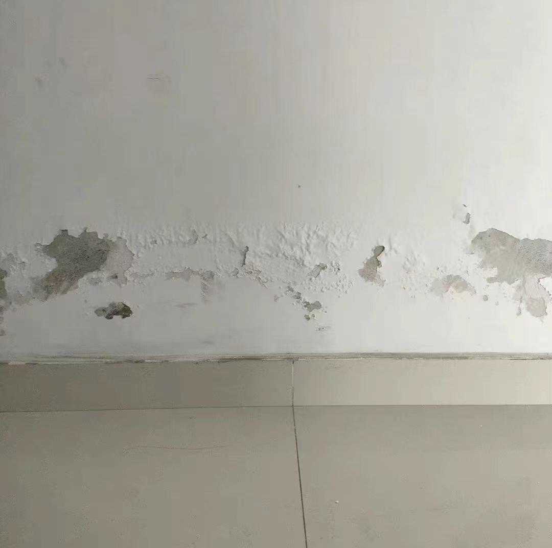 不砸砖防水价格