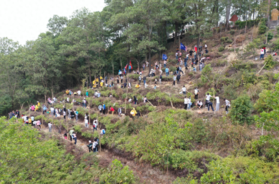 东莞樟木头景区送锦旗给供电局 再受关注热议