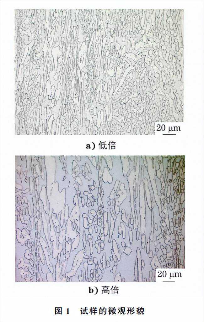 分享：双相不锈钢电解腐蚀新方法