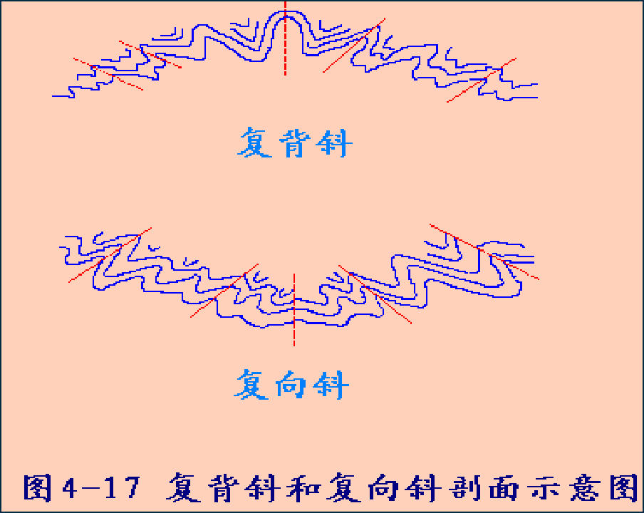 褶皱的组合形式