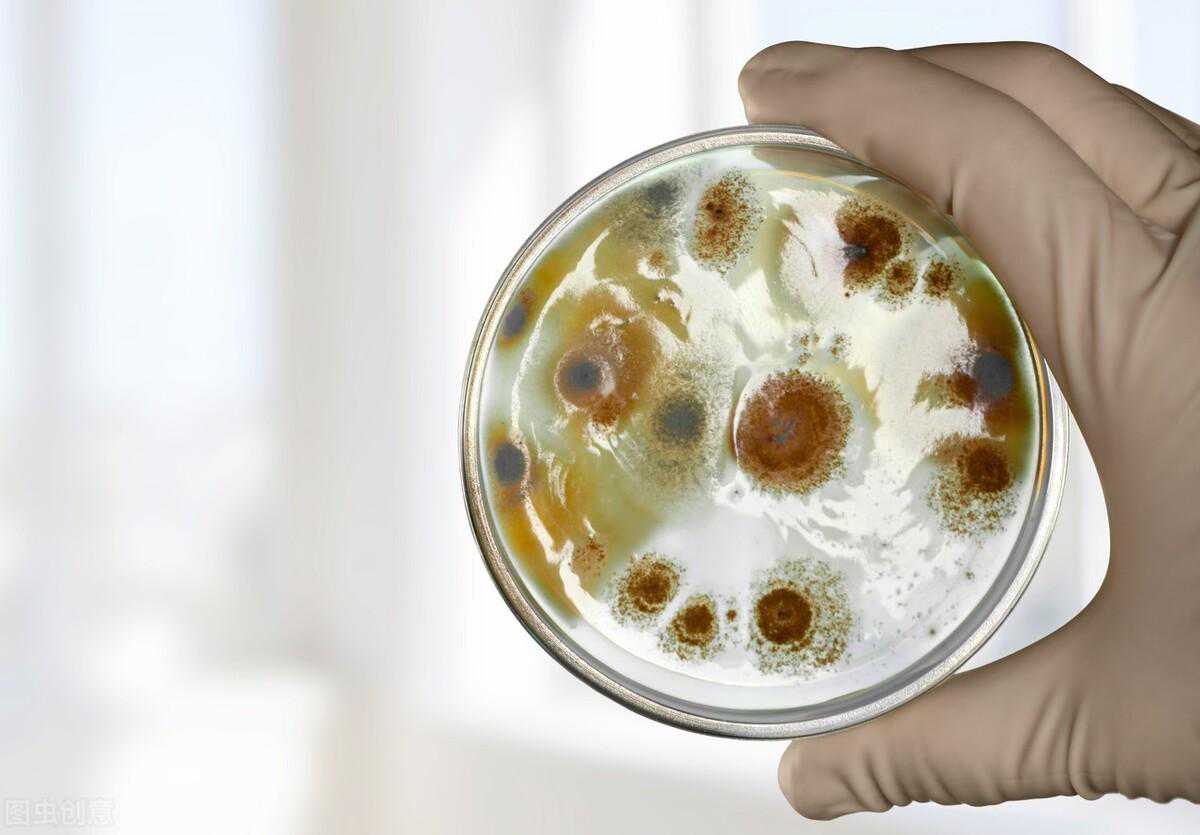 微生物菌种保存方法汇总