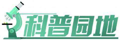 “传统能源替代神器”——生物质能