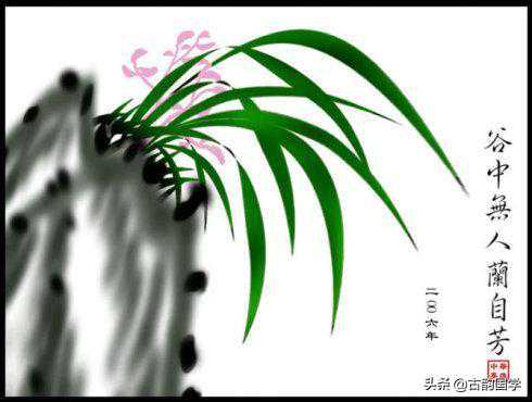 《古人咏兰诗词》：兰之雅韵，君子之品
