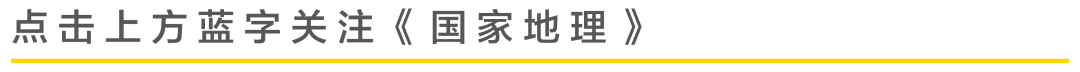 全世界都在这一张琴里