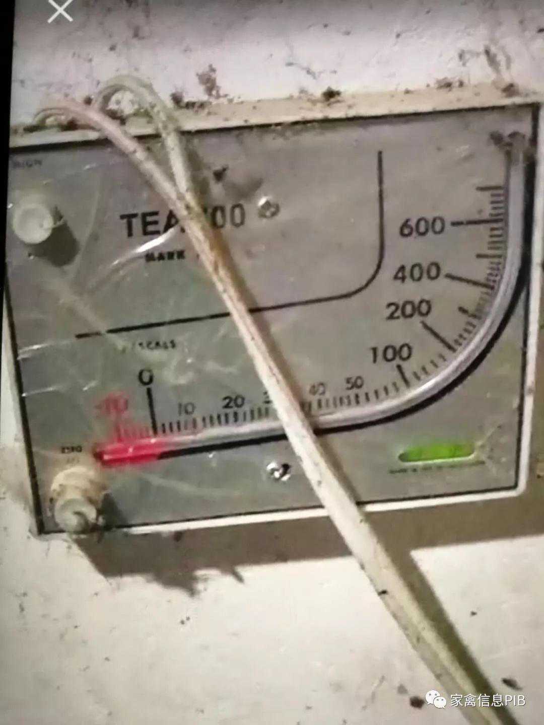 鸡舍中负压表的作用和数据标准，你真的懂吗？