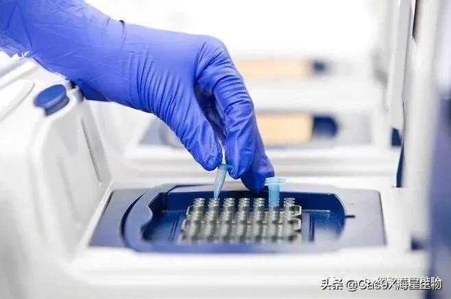 质粒提取实验避坑指南