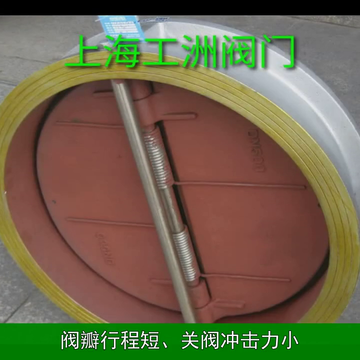 蝶式斜置止回阀
