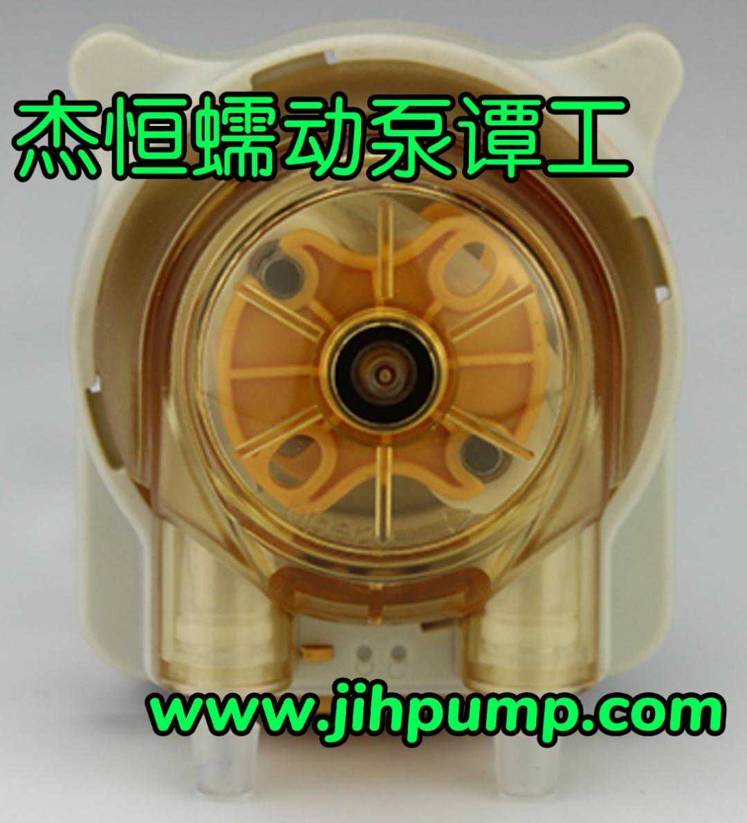 全面了解蠕动泵是什么和蠕动泵的工作原理-看这12条