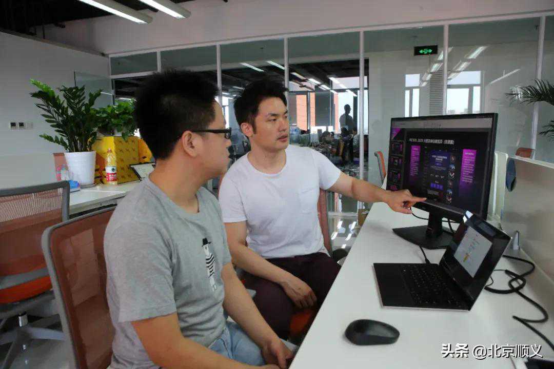 “金凤凰”咋就相中顺义这株梧桐树？海高现象初探
