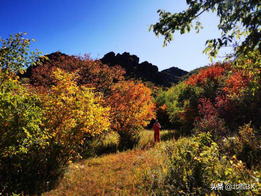 木石峡秋色