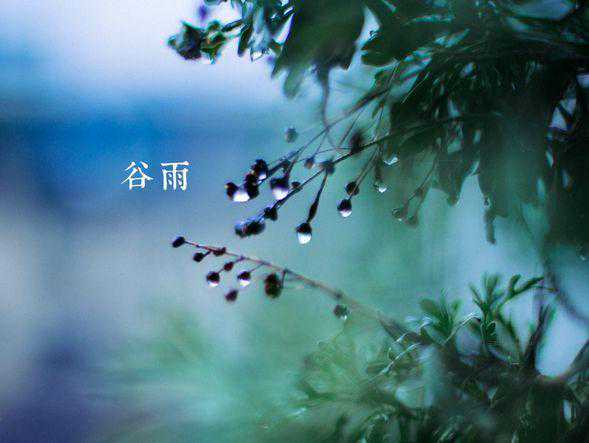 雨生百谷 遇见最美暮春色