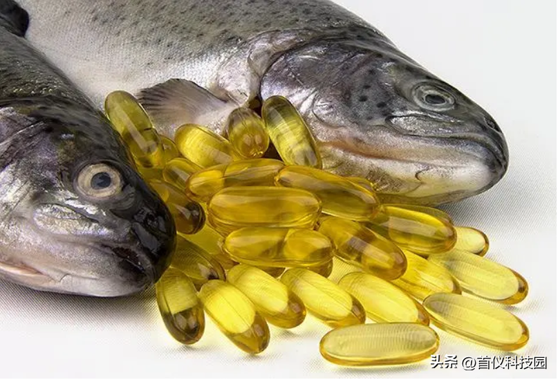 油脂氧化分析仪用于饲用鱼油的氧化稳定性研究