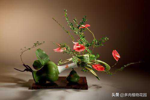 瓶式插花所注意的事项，自己在家就可以做