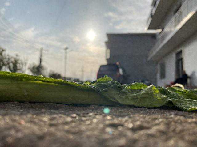 环保站背后的人间冷暖：一场特殊家宴引发的风波