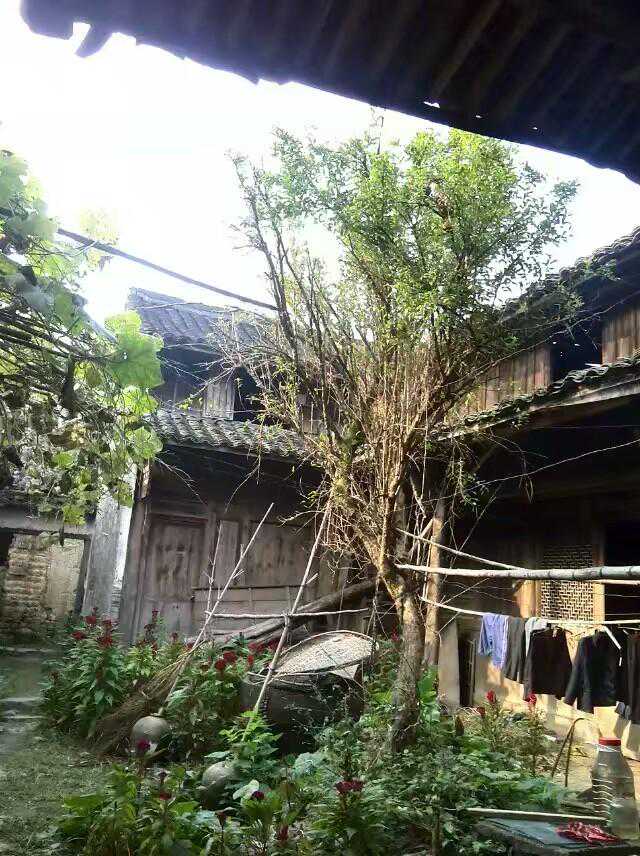 祖母的老灶头