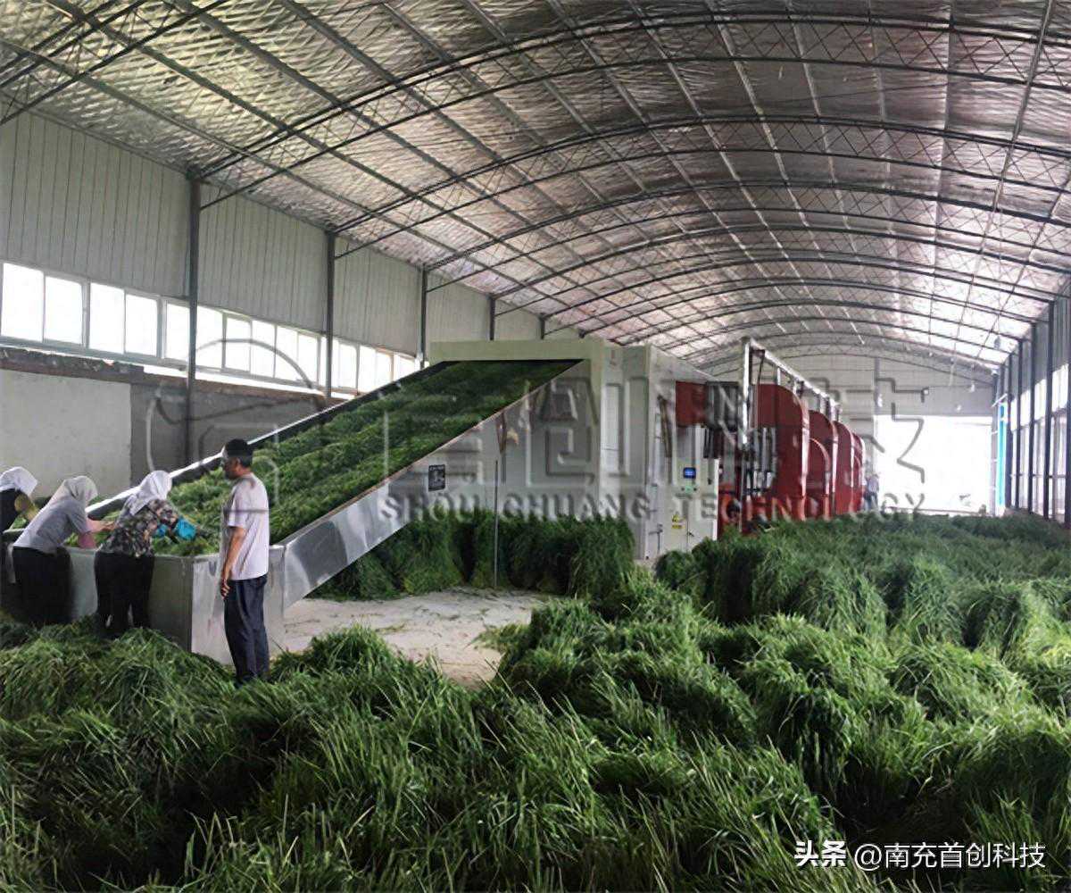 多层带式牧草干燥设备的加工效率如何？
