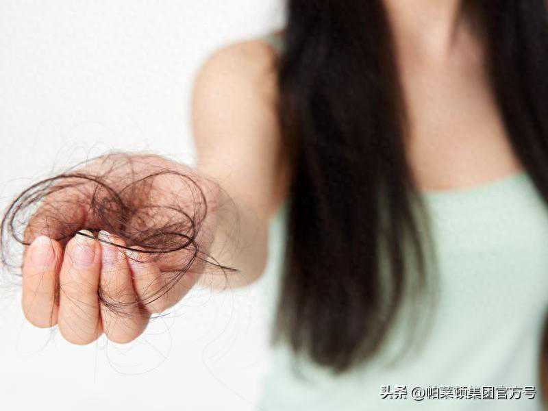 当我们在谈论假发时，蒸汽发生器在干什么？