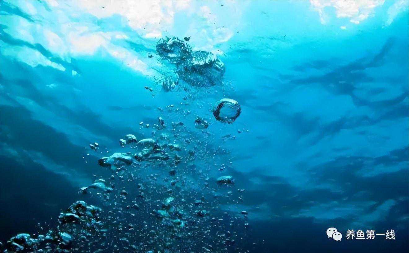常见常用的五种增氧机氧气溶解原理及其优缺点