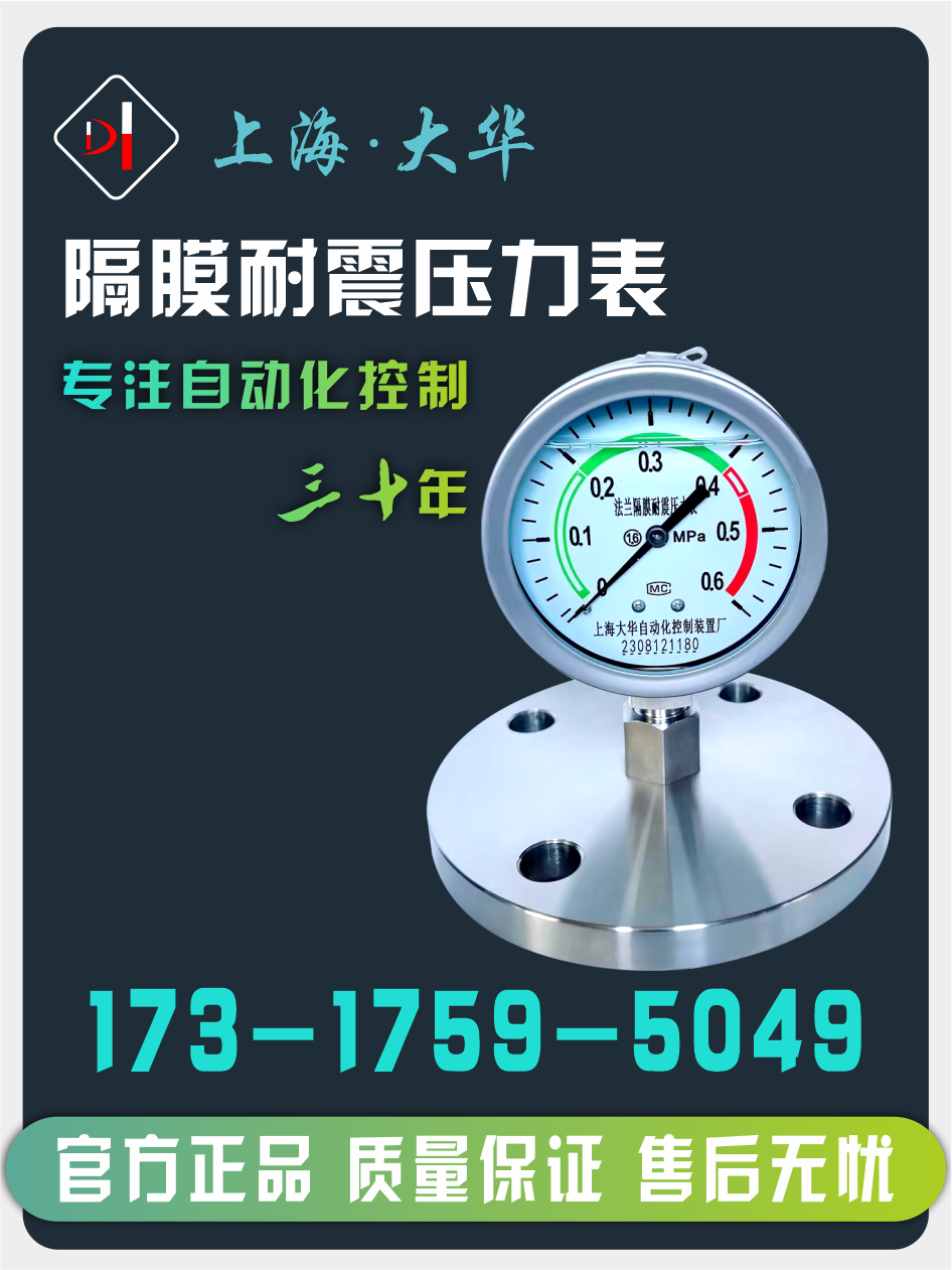 大华YTPN-100不锈钢法兰式隔膜耐震压力表