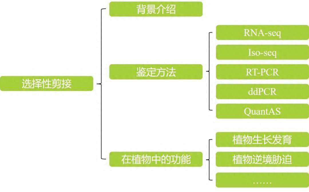 植物基因的“断舍离”——选择性剪接