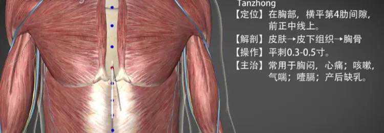 膻中穴—疏利上焦之气机