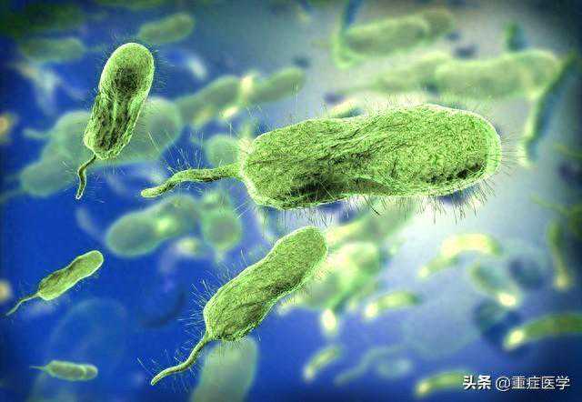 庆大霉素、克林霉素...各种「霉素」有何区别？