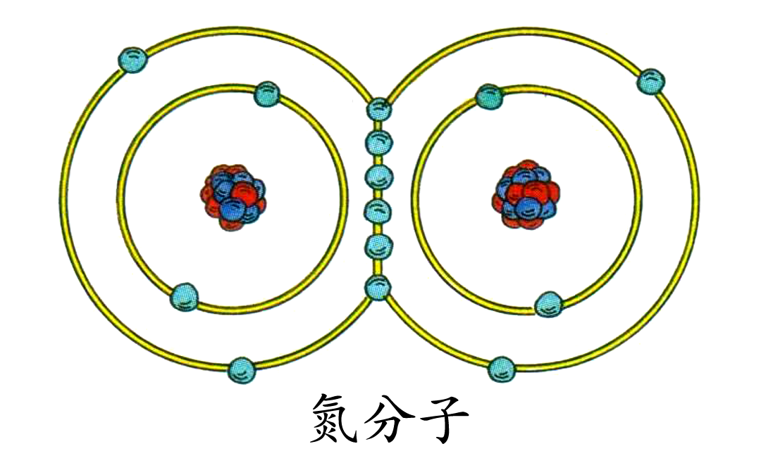 氮元素的历程，从空气到餐桌上的蛋白质，不一样的科普