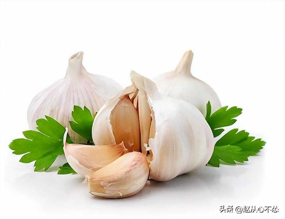 植物生长促进根际菌各菌株，有什么重要价值？