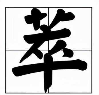 多段式萃取——索氏提取器