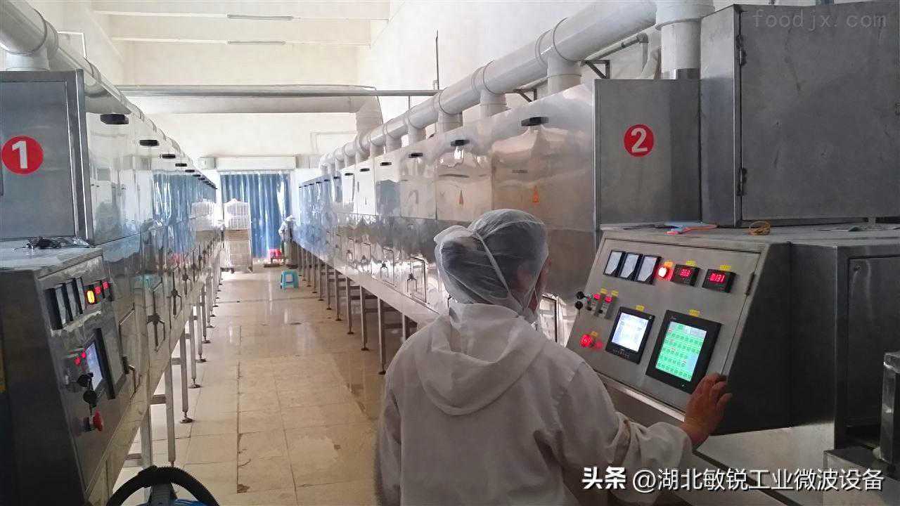 化工微波干燥机原理