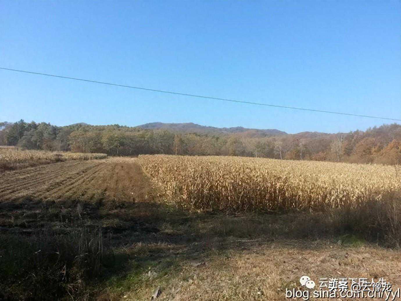 黑龙江省虎林市：乌苏里江畔二战终结地和英雄珍宝岛