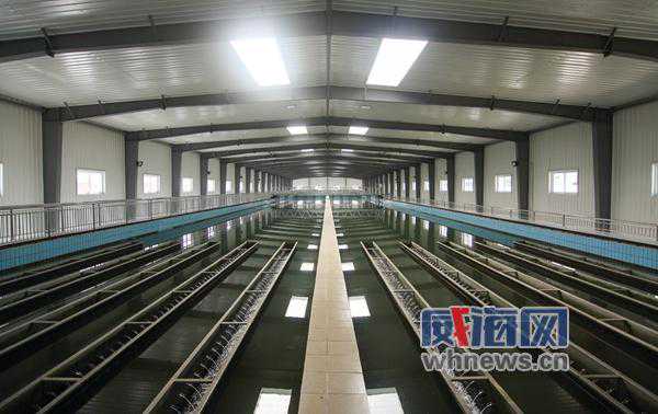 自来水怎样进百姓家？原水到自来水至少过6道关