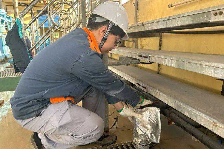 应对寒潮，TA们迅速行动，开启“防冻”模式