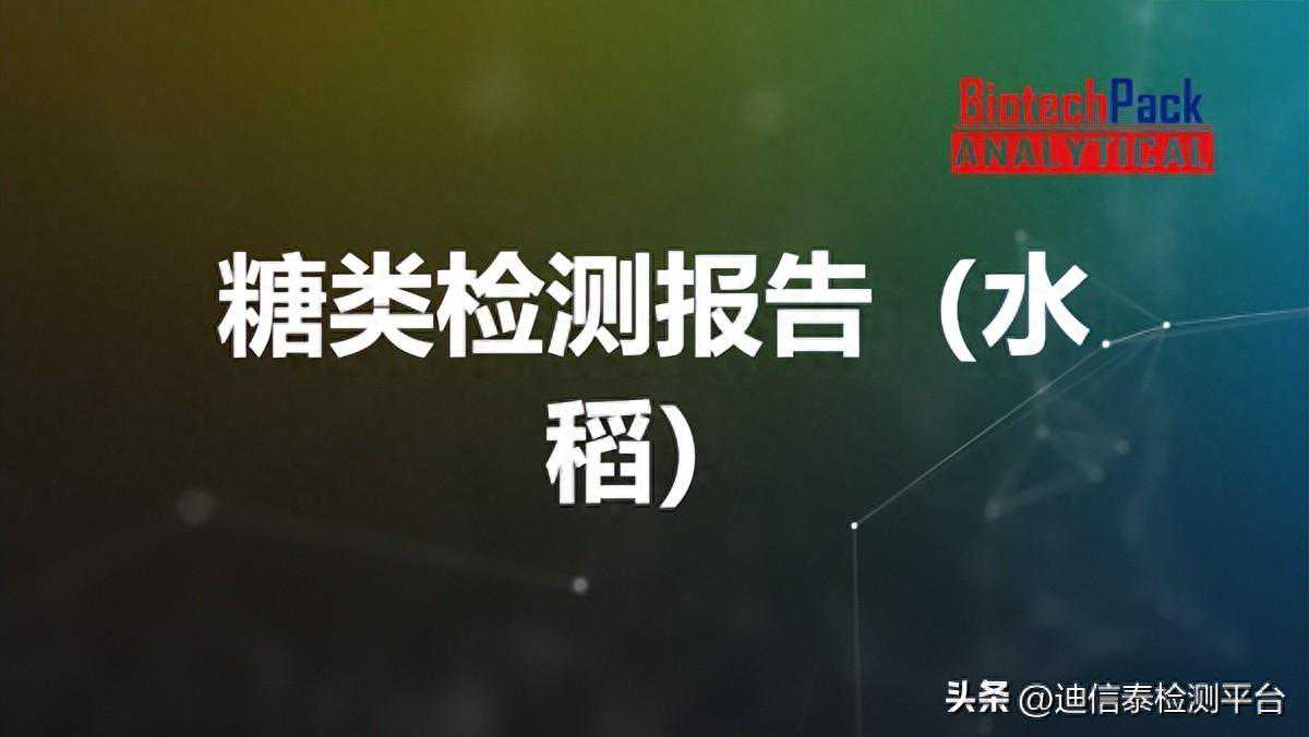 糖类检测报告（水稻）