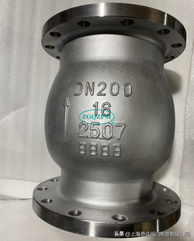 2507双相钢法兰立式止回阀