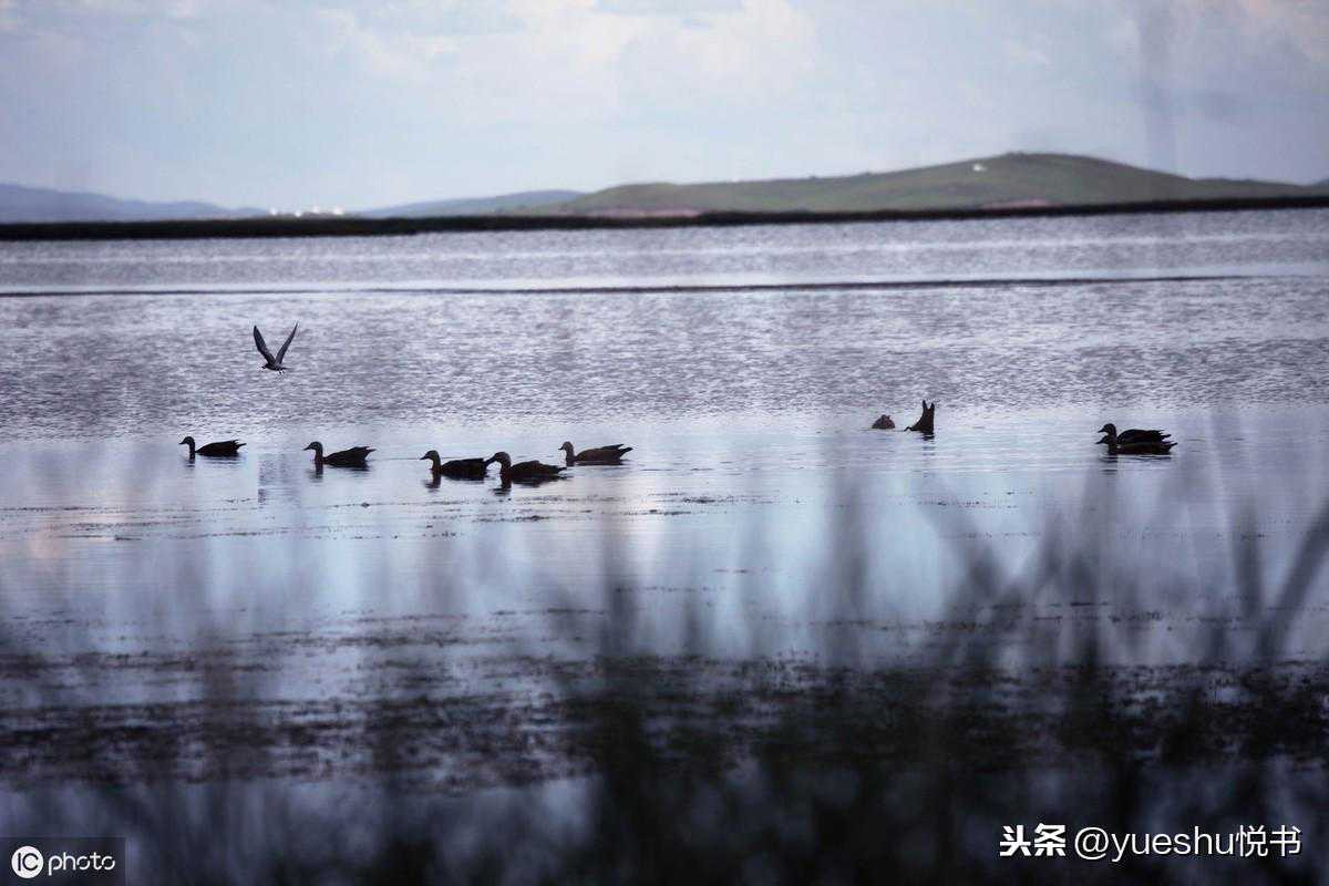 《海子的诗》：你来人间一趟，是为了成为你自己
