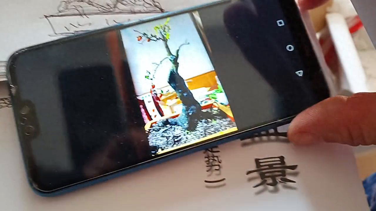 去直留曲