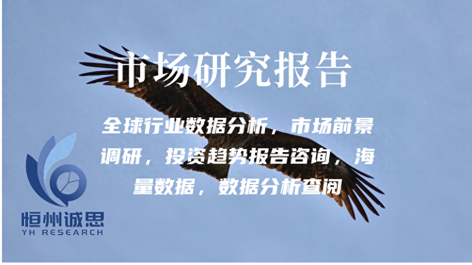 砂磨和研磨附件渠道研究2024