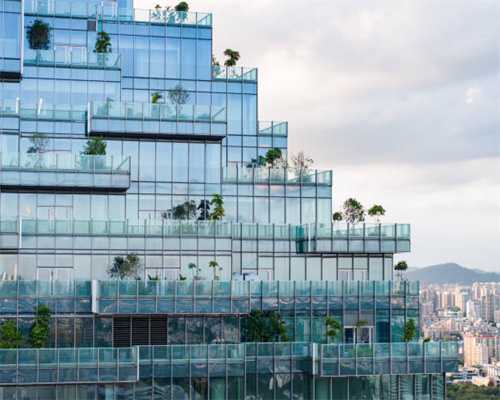 丝毛飞廉——农村常见给人们印象深刻的植物